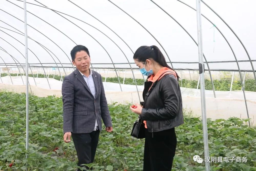 农产品电子商务模式_农村电子商务的三种模式_商务部电子商务进农村项目简介