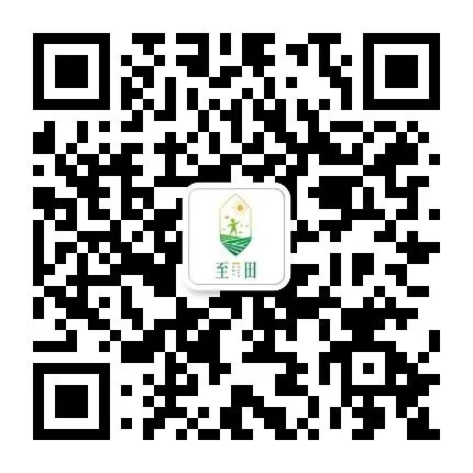 农产品中金属元素的测定_农产品重金属含量标准_农产品重金属含量国家标准