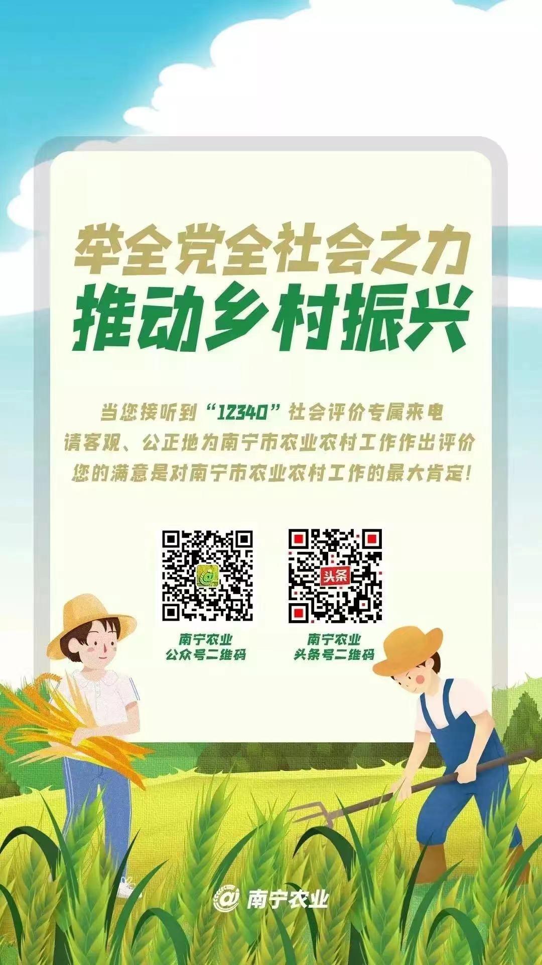 宾阳农贸批发市场_宾阳县农产品_宾阳县农作物