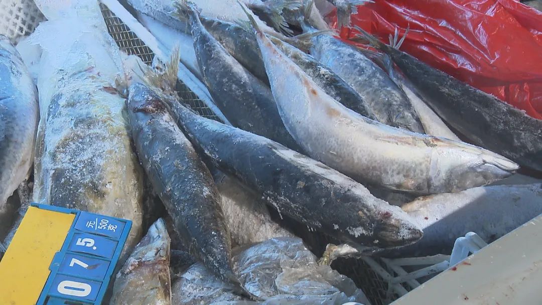 上海农产品中心批发市场_上海农产品中心批发市场价格_上海市农产品批发市场官网