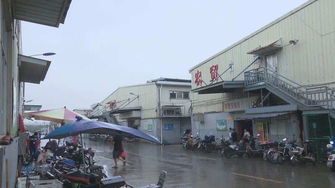 上海农产品中心批发市场_上海市农产品批发市场官网_上海农产品中心批发市场价格
