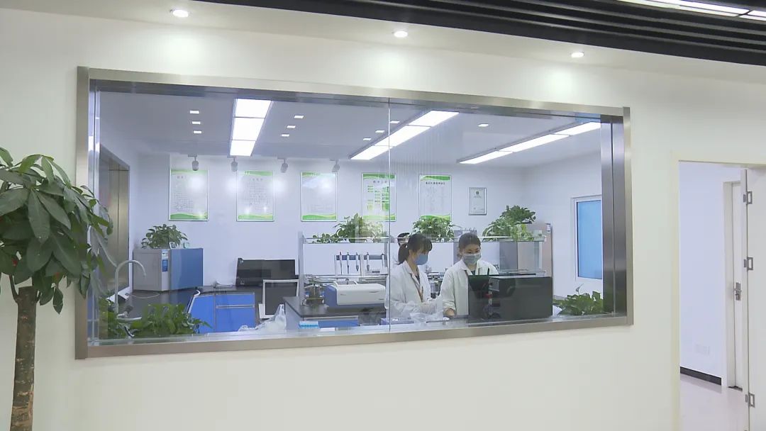 上海农产品中心批发市场_上海农产品中心批发市场价格_上海市农产品批发市场官网