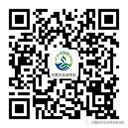 合作社员农收购社产品合法吗_合作社收购社员农产品_合作社员农收购社产品怎么做账