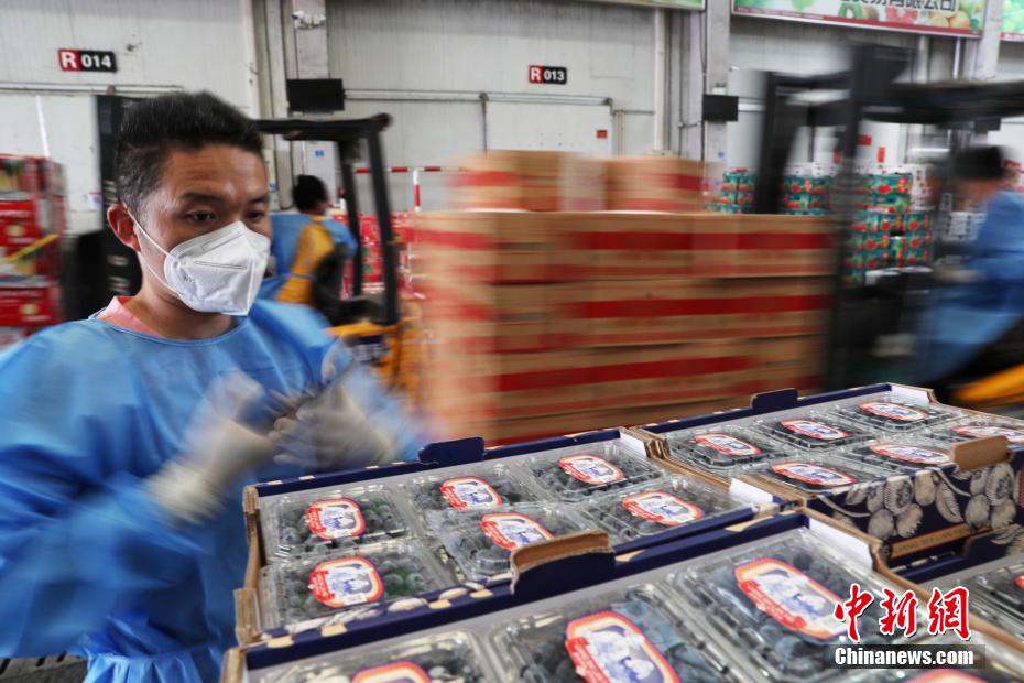 上海西郊国际农产品中心防疫措施及物资供应情况全面解析