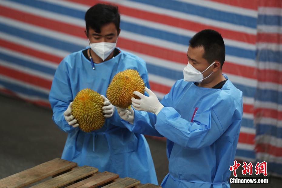 上海农产品中心批发市场价格_上海农产品中心批发市场_上海市农产品批发市场官网