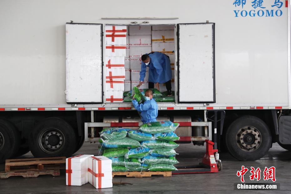 上海市农产品批发市场官网_上海农产品中心批发市场价格_上海农产品中心批发市场