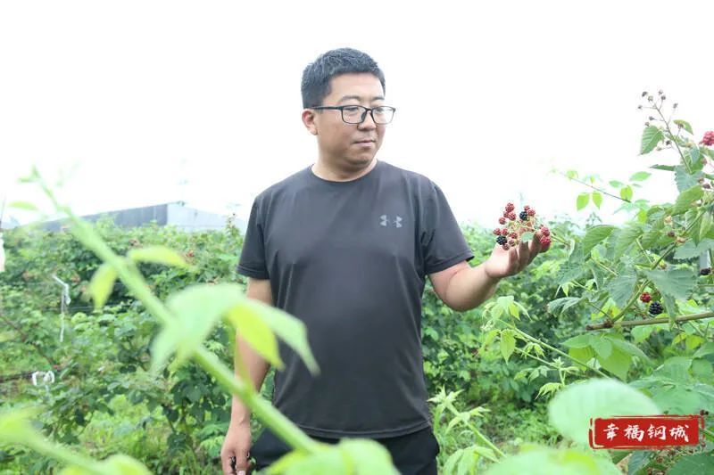 高附加值农产品品种_附加值高的农产品_附加农值高产品有哪些