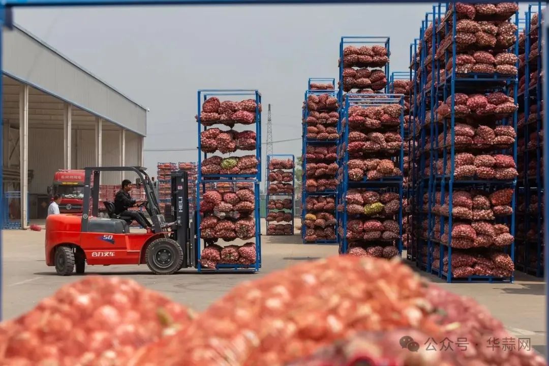 农产品国际竞争力的概念_中国农产品国际竞争力研究_农产品国际竞争力分析