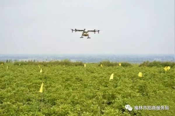 陕北有哪些可以深加工的农产品_陕北农副产品有哪些_陕北农用工具