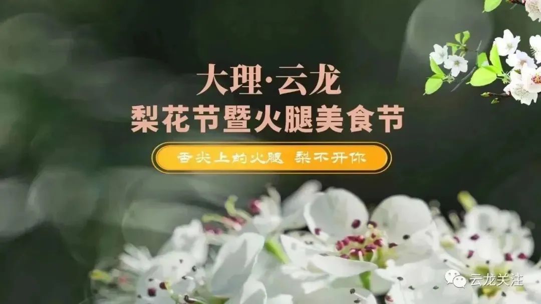 高原特色农业政策解读_高原特色农业产业_高原特色农产品.com