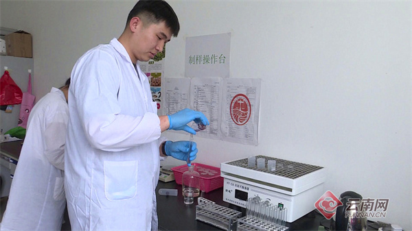 乡镇农产品质量安全汇报材料_乡镇 农产品质量安全_乡镇农产品质质量安全工作会