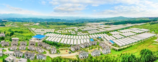 绿色农产品发展前景_绿色农产品发展趋势_绿色农产品市场前景