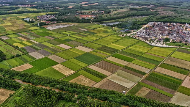 绿色农产品发展前景_绿色农产品发展趋势_绿色农产品市场前景