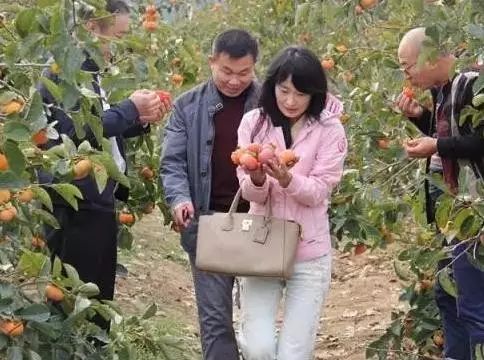 农产品营销是什么意思_农产品营销_农产品营销