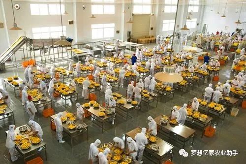 农产品营销方式有哪些_农产品营销_农产品营销主要内容