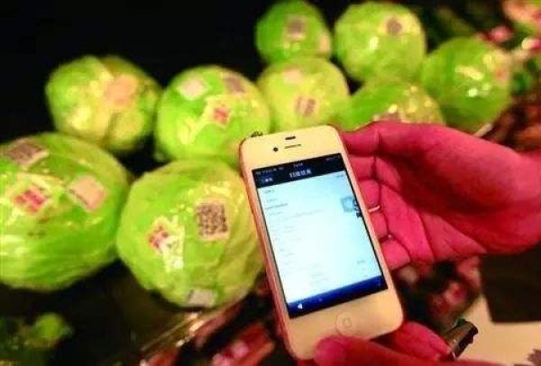 农产品溯源系统的市场分析_农产品溯源系统的设计与开发_农产品溯源系统主要内容