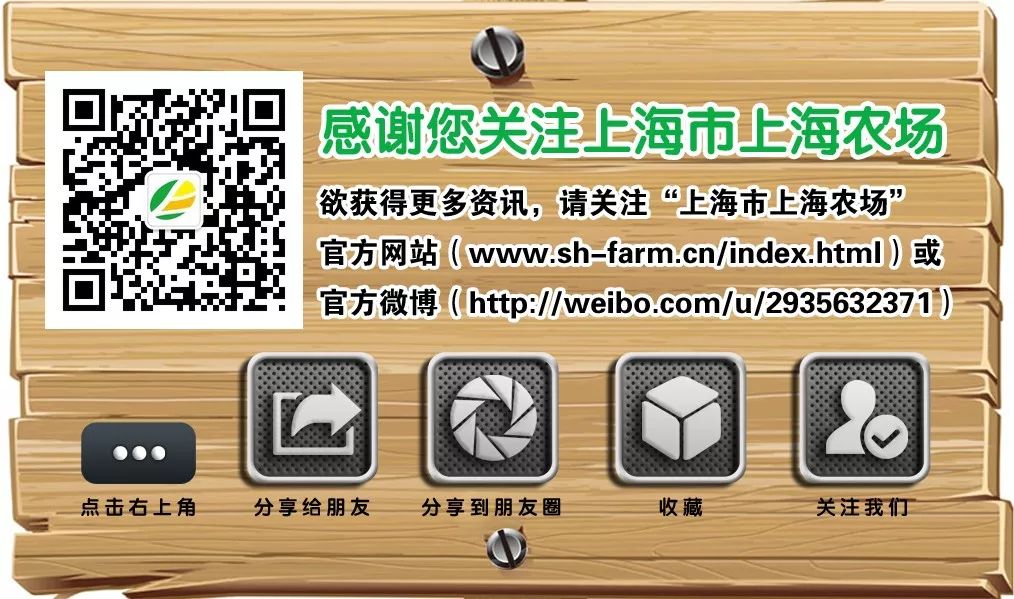 上海农展销产品会涨价吗_上海农产品展销会_上海农产品展销会2020
