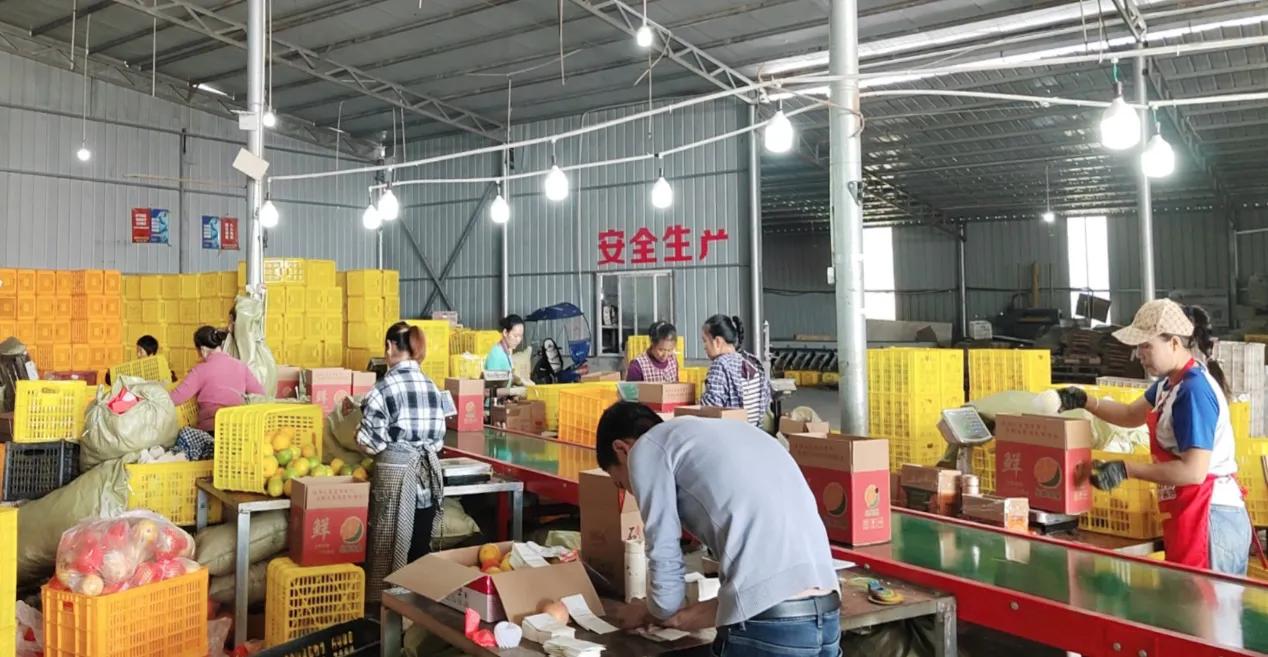 农产品物流优惠政策_农产品物流国家政策_农产品物流政策