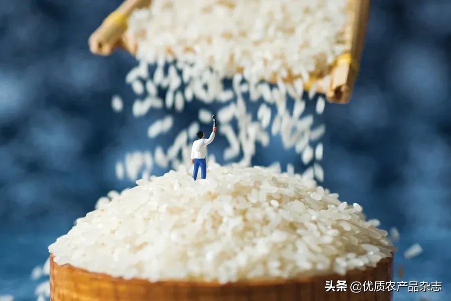 中国优质农产品开发服务协会_中国优质农业协会官网_中国优秀农产品服务协会