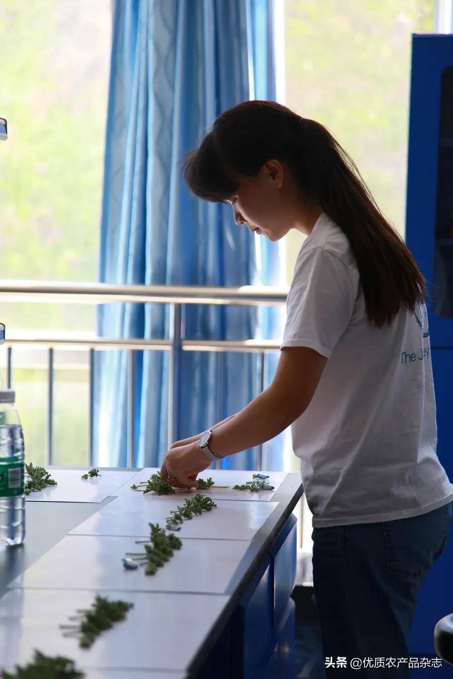 中国优秀农产品服务协会_中国优质农业协会官网_中国优质农产品开发服务协会