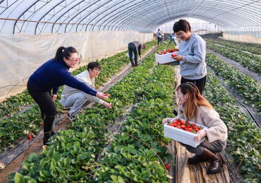荣成农产品质量安全_农产品质量安全中心是干嘛的_农产品质量安全股