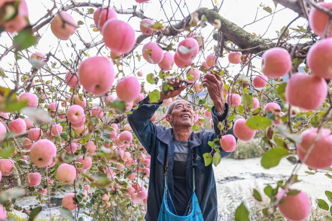 农产品质量安全中心是干嘛的_农产品质量安全股_荣成农产品质量安全