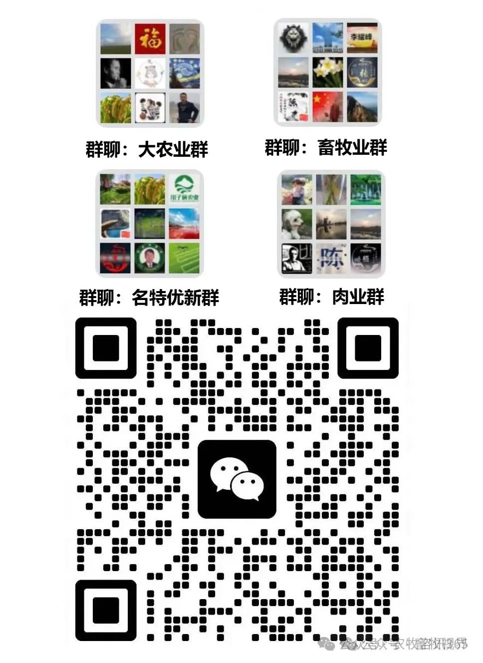 山西省农产品产地加工项目入库编报指南2025：促进乡村产业升级与乡村振兴