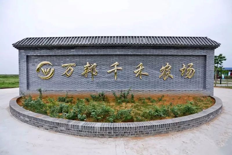 河南万邦国际农产品物流股份有限公司_河南农产品有限公司_河南省农产品物流