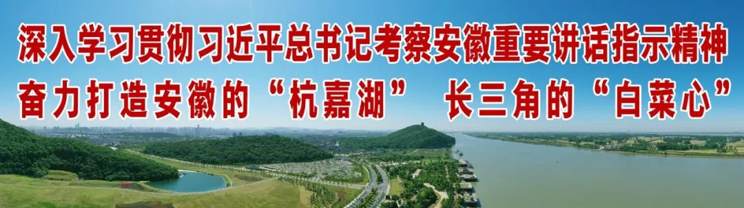 马鞍山农交会盛大开幕：市长袁方巡视展厅，了解特色农产品及市场动态
