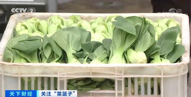 6月份全国菜篮子指数下跌，蔬菜价格季节性回落及反弹原因解析