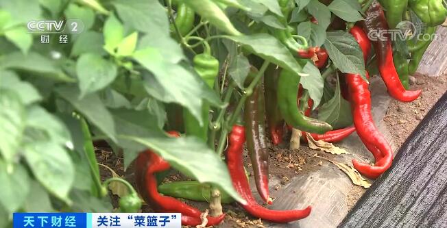 农产品季节性_季节农性产品包括哪些_季节农性产品有哪些