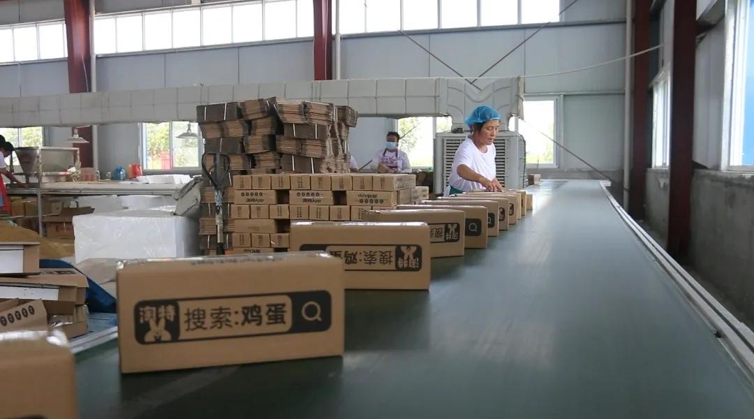 淘宝农产品_淘宝农产品发布_淘宝农产品类目有哪些