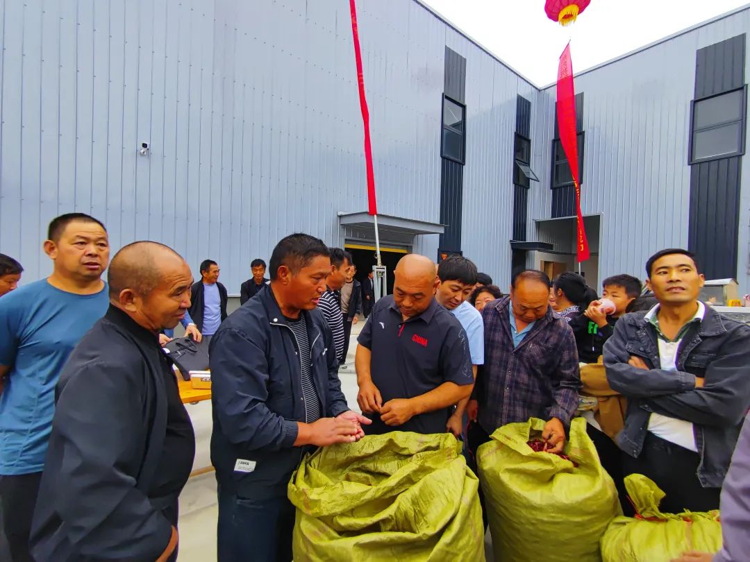 农产品贸易网_农产品贸易网站_农业贸易网站