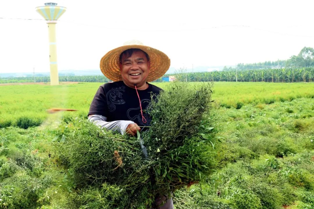 农产品种植收购合同_种植收购协议书范本_农产品种植收购合同书
