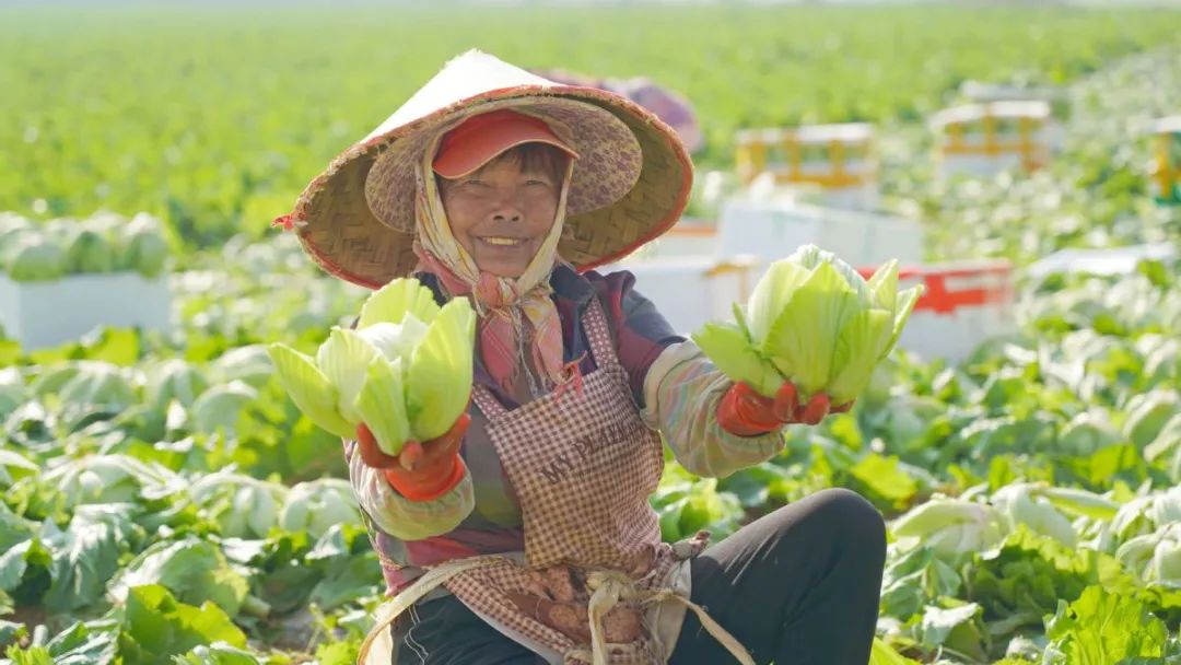 种植收购协议书范本_农产品种植收购合同_农产品种植收购合同书