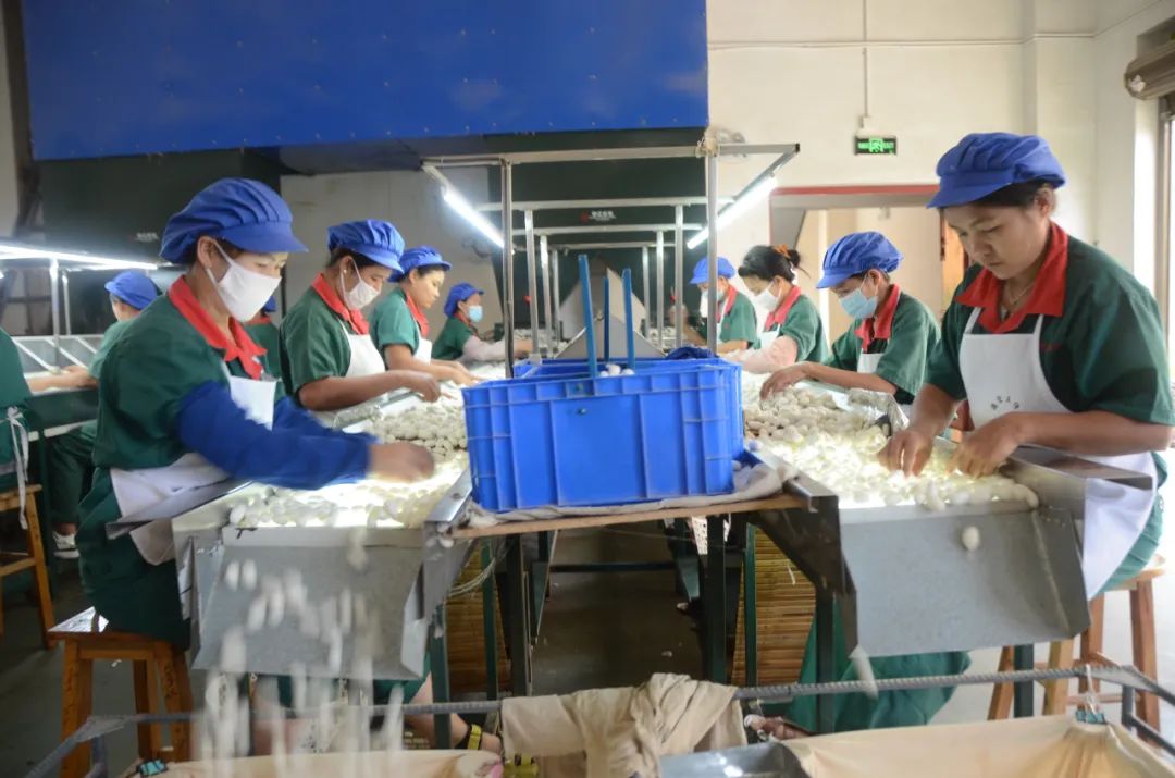 农产品加工业集成技术与标准_集成化农业_集成农业加工标准技术产品包括