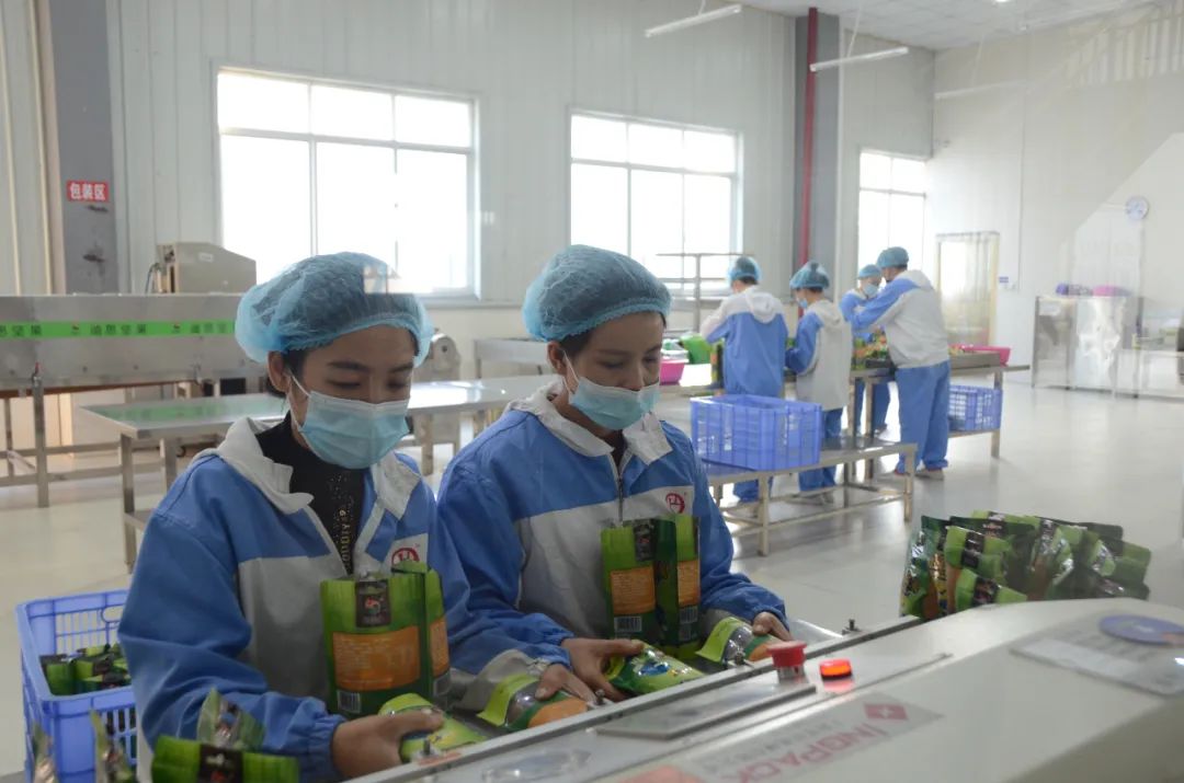 农产品加工业集成技术与标准_集成化农业_集成农业加工标准技术产品包括