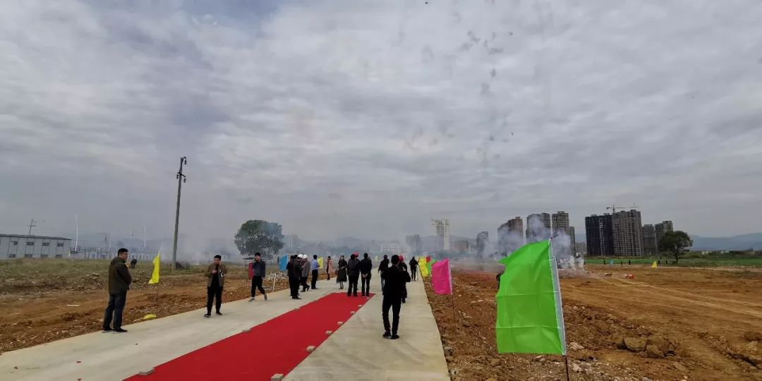武汉批发零食市场在哪里批发_桐城市政府_桐城市农产品批发市场