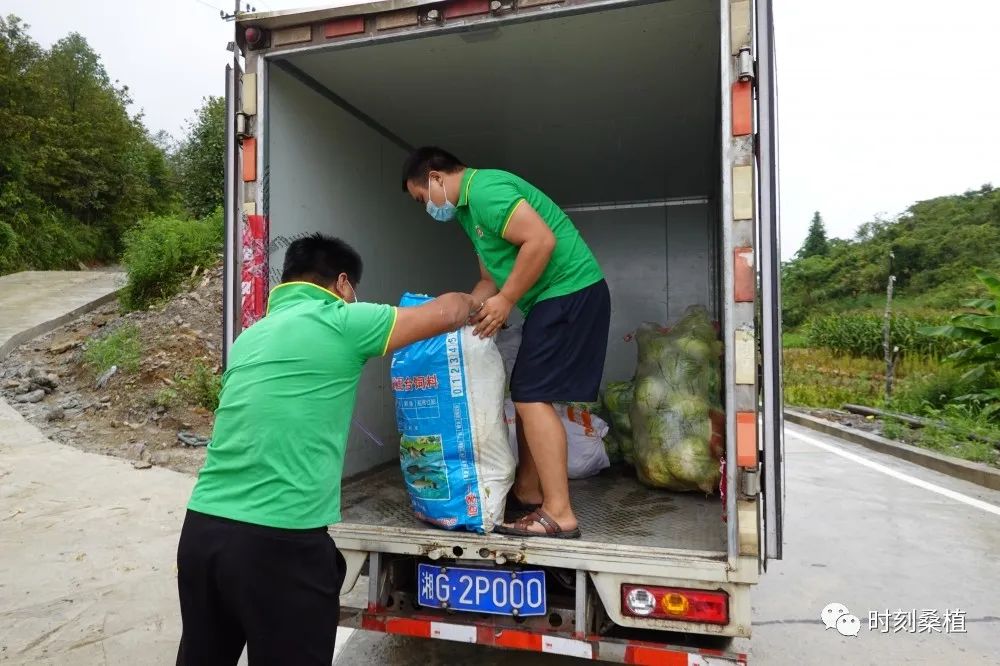 滞销农产品的营销方案_农产品滞销解决方案_农产品滞销问题