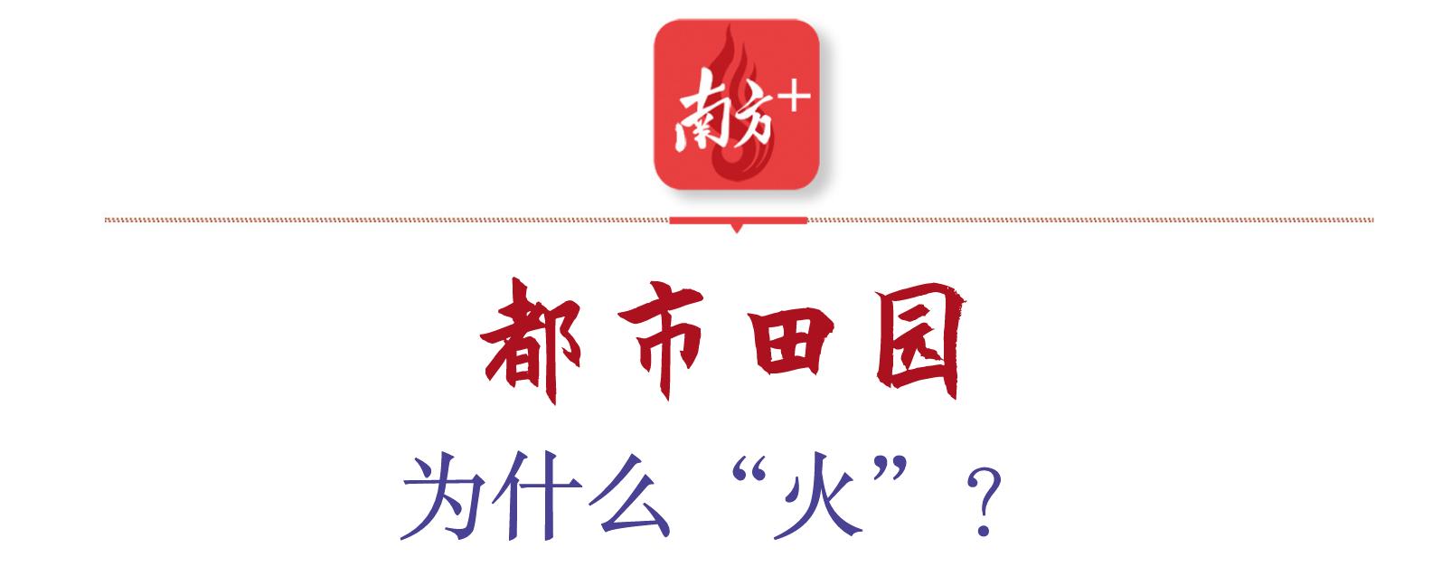 南方大宗交易软件_南方大宗农产品交易所_南方大宗农产品交易中心