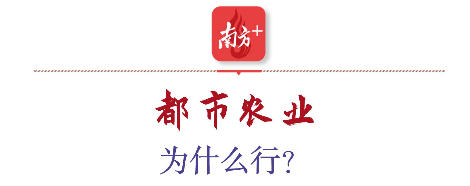 南方大宗农产品交易中心_南方大宗交易软件_南方大宗农产品交易所