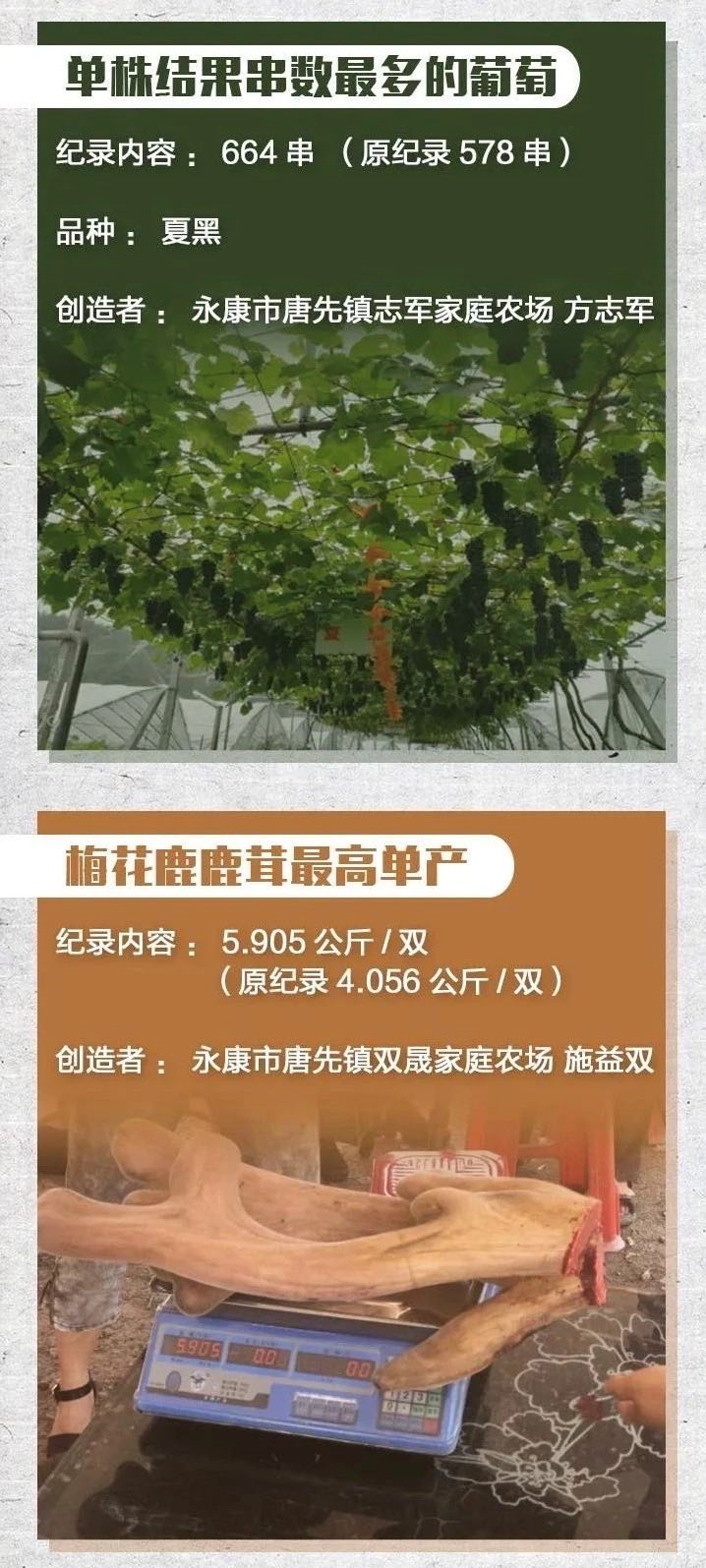 2019年度浙江农业之最纪录公布，永康市两项农产品刷新纪录