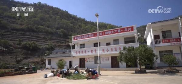 农产品流通加工可以做什么_农产品加工流通业包括_农产品流通加工