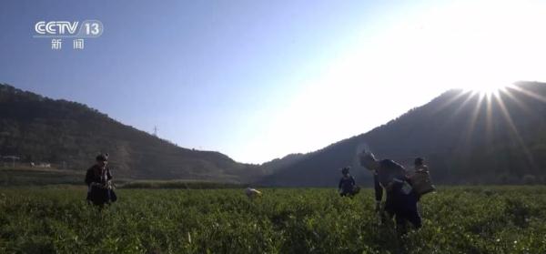 农产品流通加工_农产品加工流通业包括_农产品流通加工可以做什么