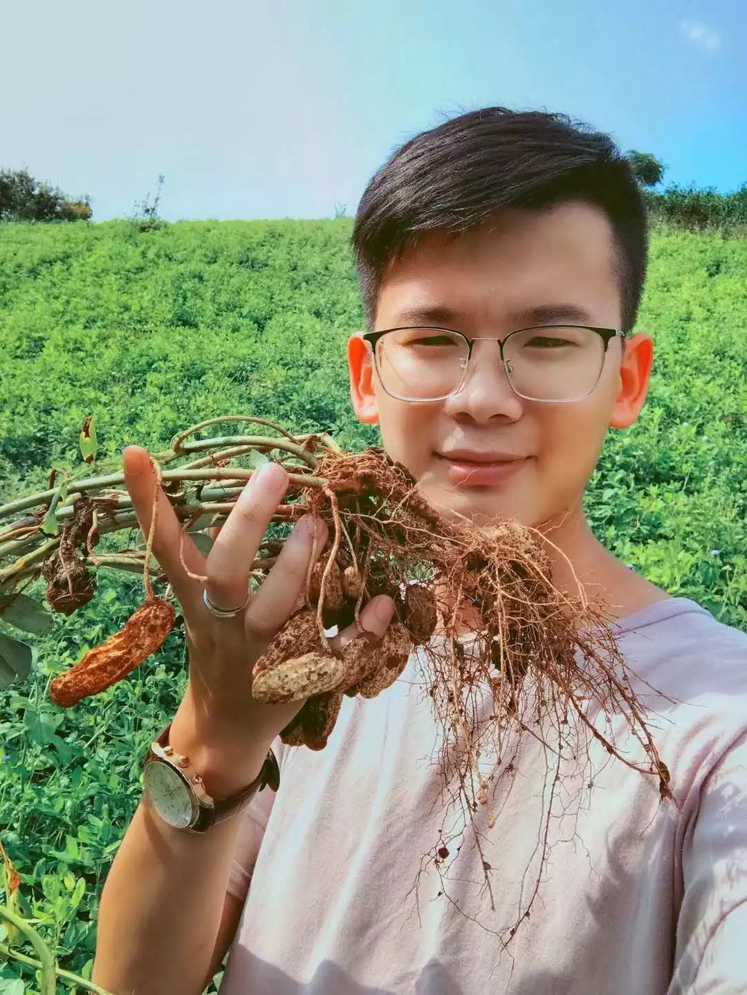 农产品包装设计现状_农产品包装设计的现状_农产品的包装设计的作用是什么