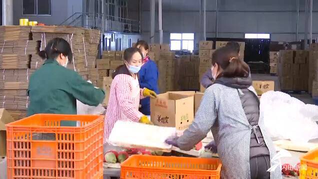 口碑农金产品是什么_口碑商家如何上架产品_金口碑农产品
