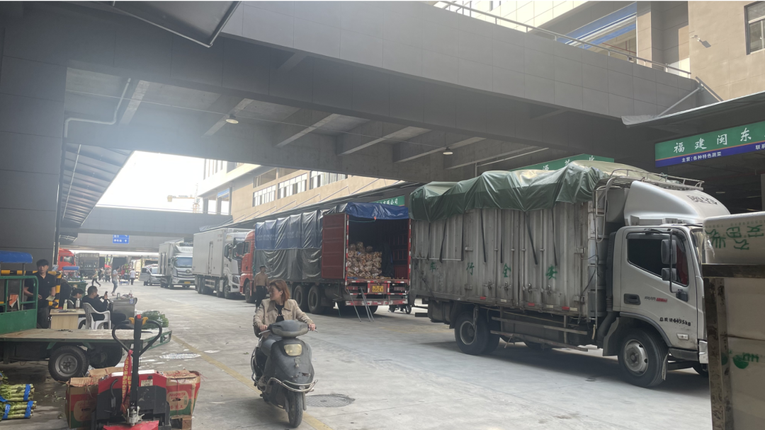 国际农产品物流中心_农产品物流园是干嘛的_国际农产品物流园