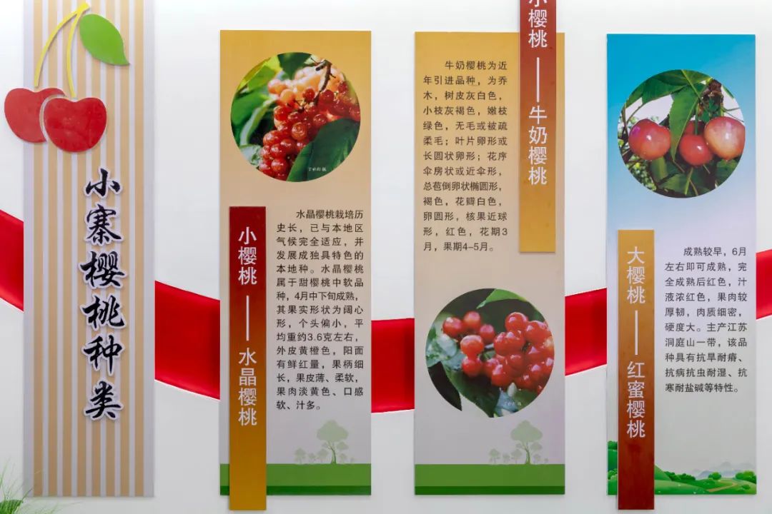 农产品展厅布置_展厅农产品展示的要求_农产品展厅的设计及说明