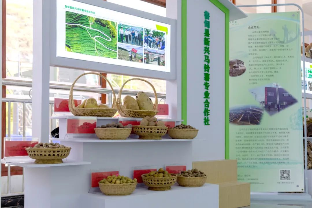 农产品展厅的设计及说明_农产品展厅布置_展厅农产品展示的要求