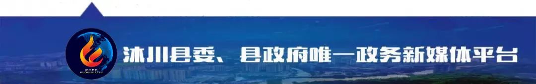 沐川县强村公司产品体验鉴赏活动：夏日夜市与农特产品的完美结合